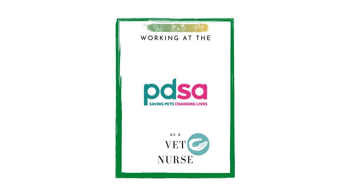 Working at the PDSA as a Vet Nurse